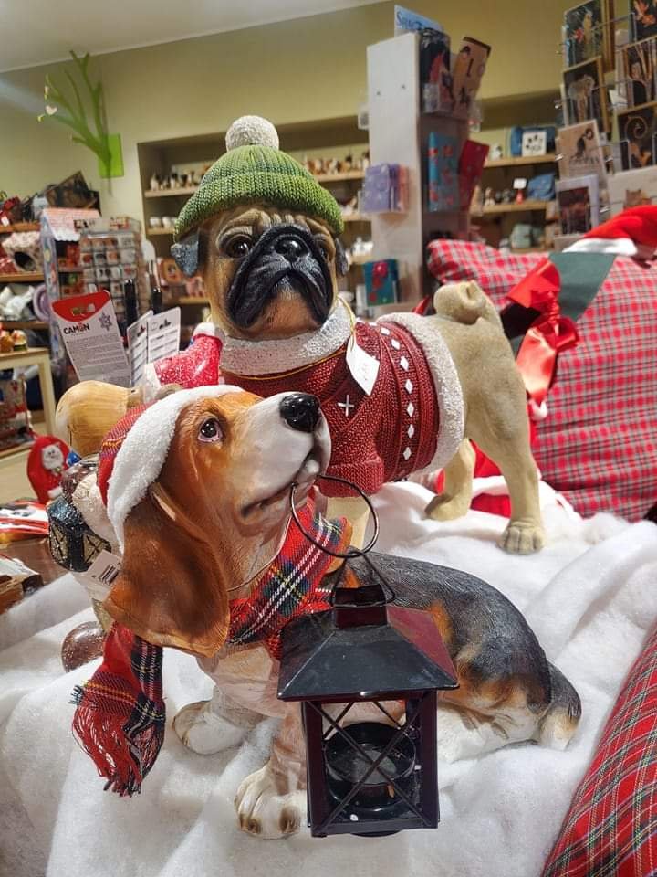 Arca Di Noe' - Foto 4