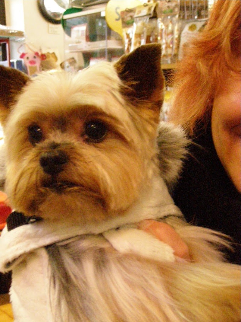 Arcamatta di Giuseppe Mosna & C. s.n.c. - Foto 6