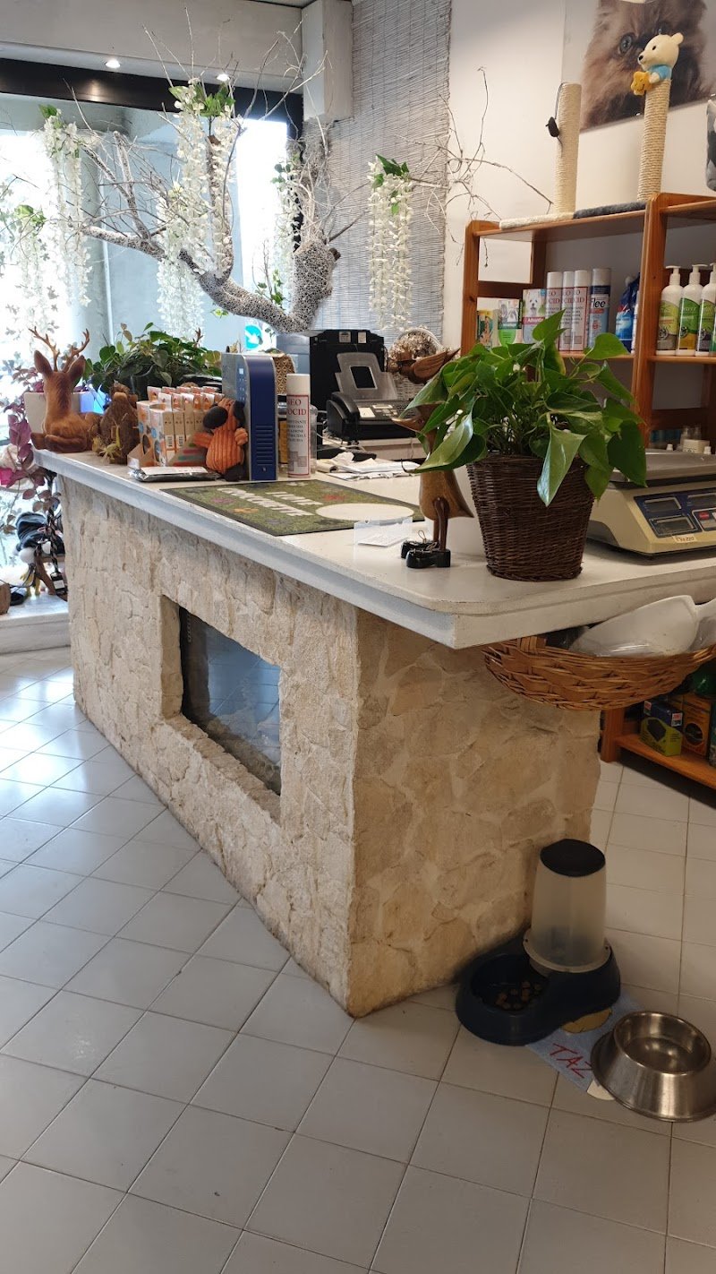 Arcobaleno - Toelettatura a Vicenza per Cani e Gatti - Foto 2