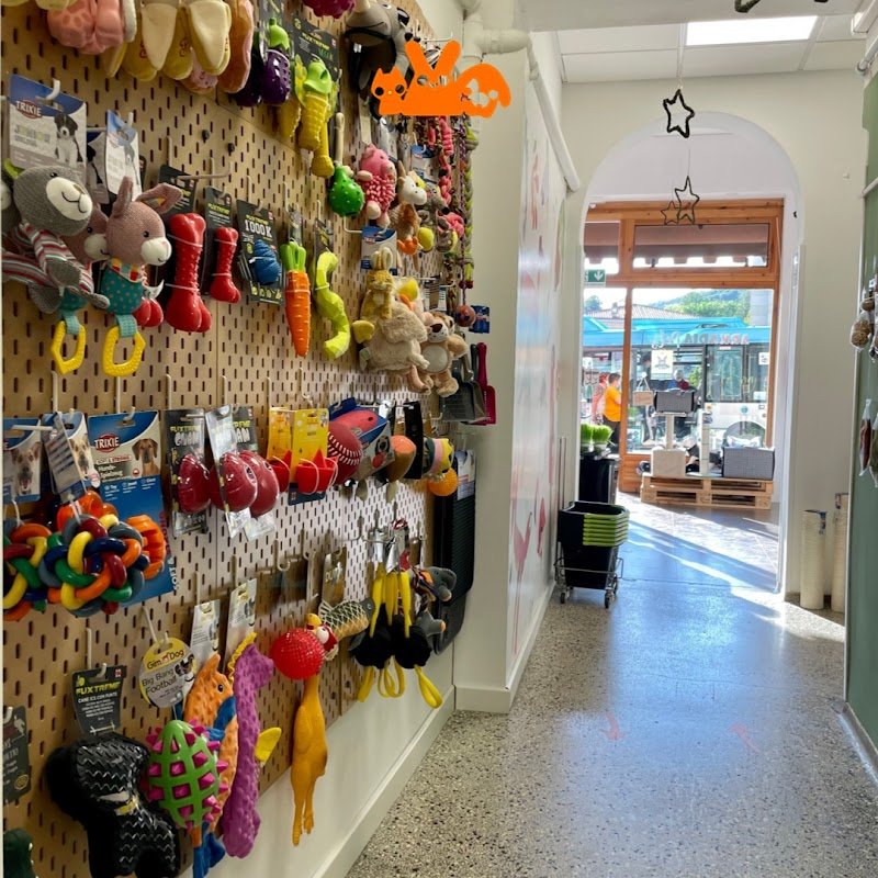 Arkadia Pets - Foto 2