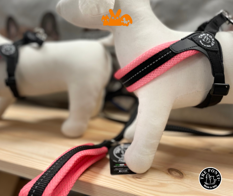 Arkadia Pets - Foto 3