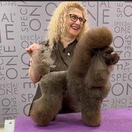 ARMONY PET | Toelettatura Cani - Foto 1