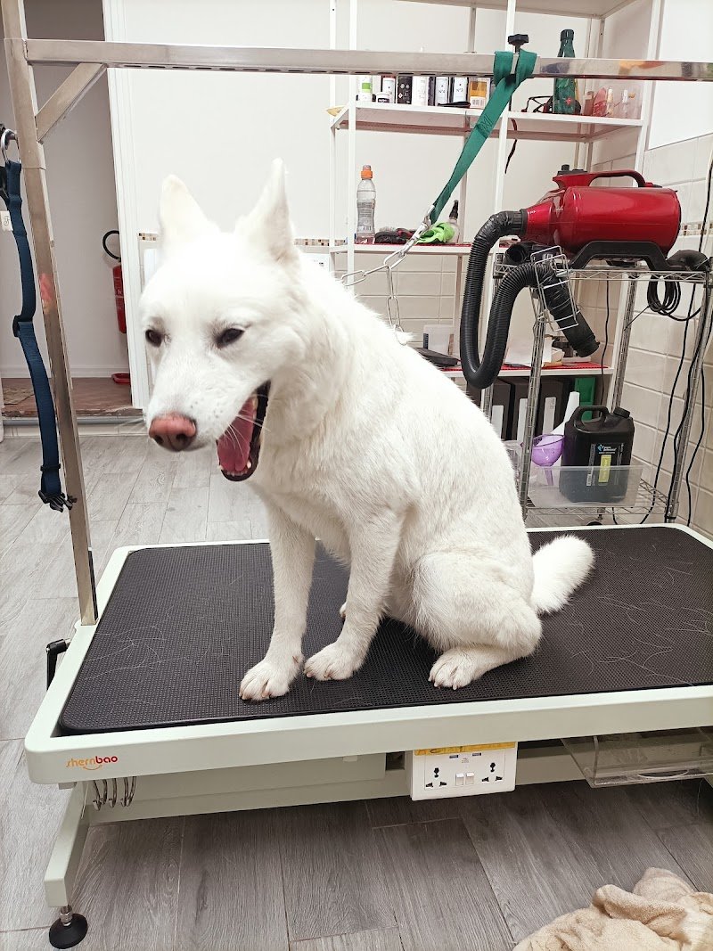 Arruffa & Sbuffa - Foto 2