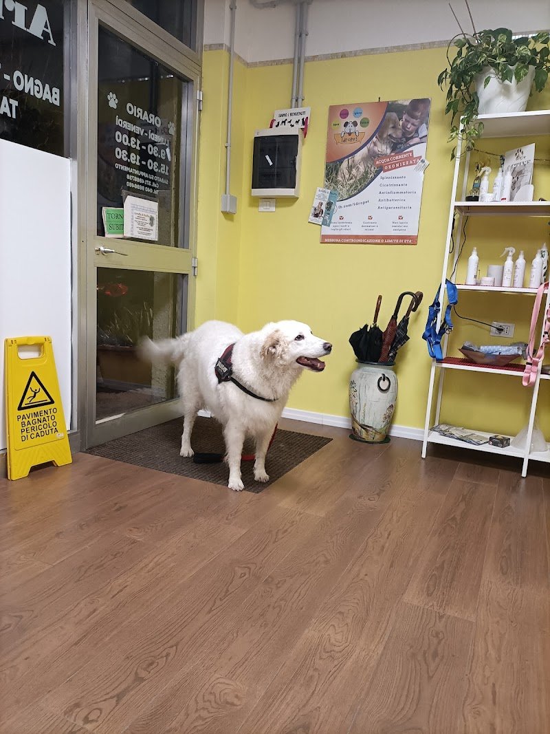 Arruffa & Sbuffa - Foto 4