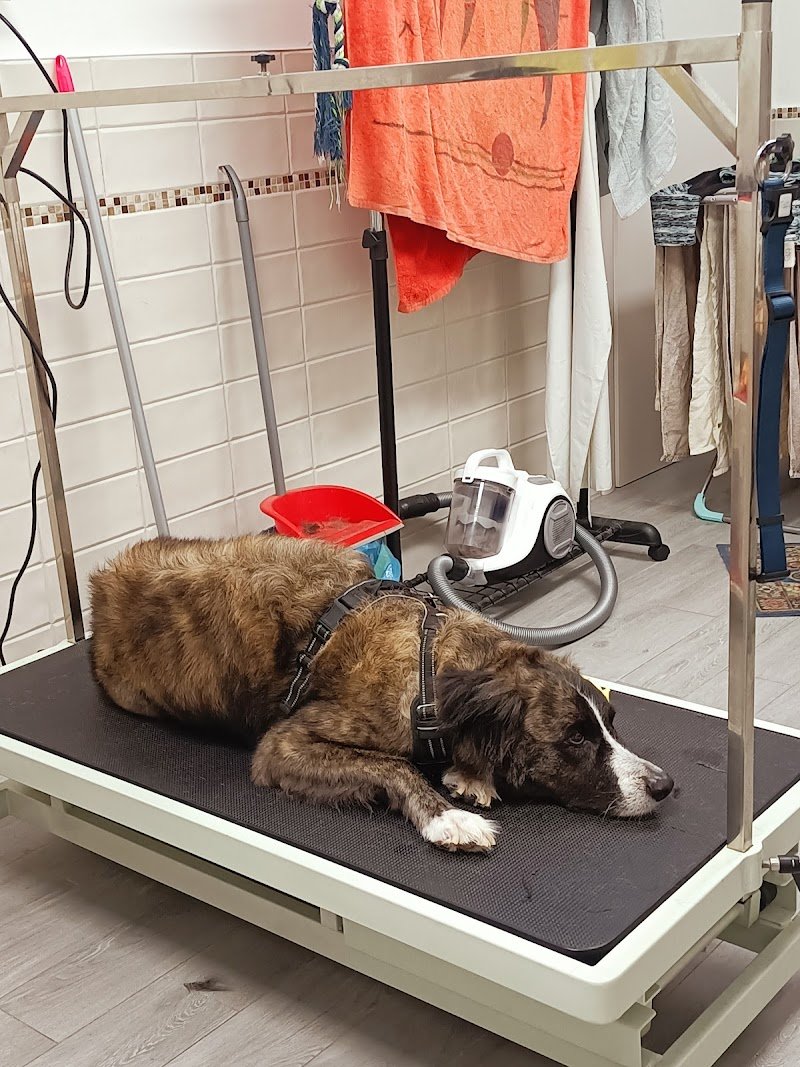 Arruffa & Sbuffa - Foto 5