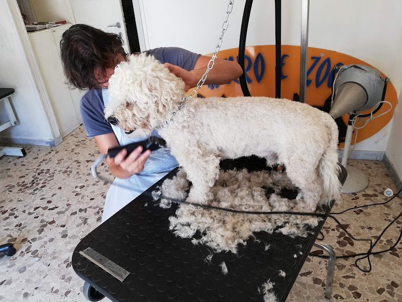 Arturo E Zoe Tolettatura - Foto 1