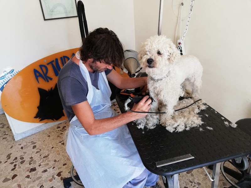 Arturo E Zoe Tolettatura - Foto 4