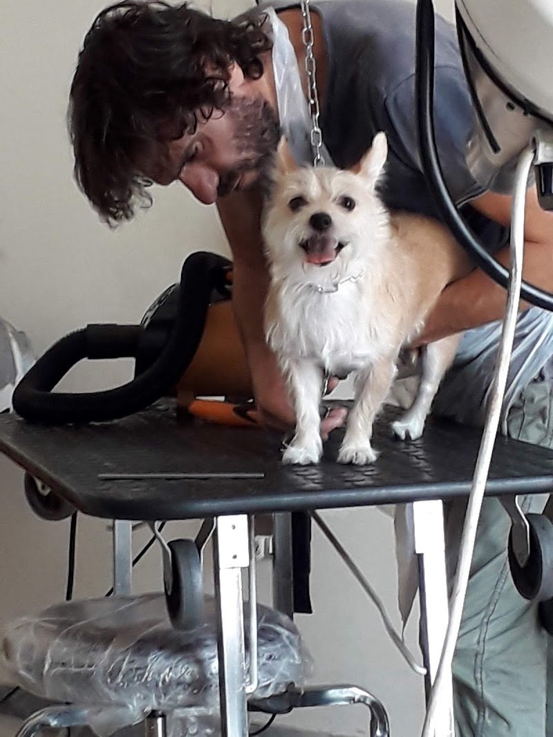 Arturo E Zoe Tolettatura - Foto 6