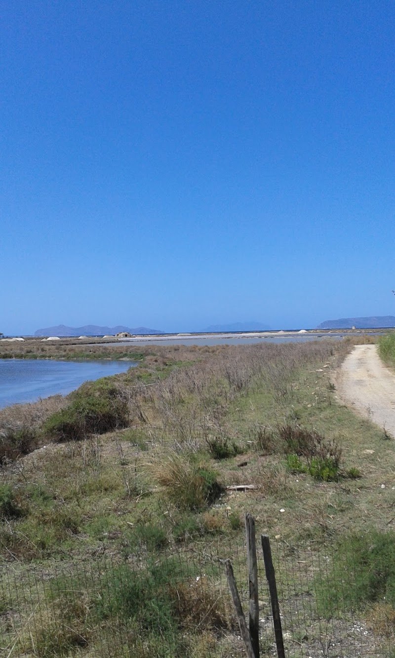 A.S.D. Amici A Quattro Zampe - Foto 1