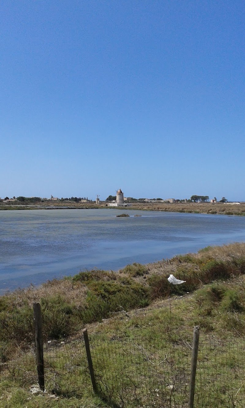 A.S.D. Amici A Quattro Zampe - Foto 2