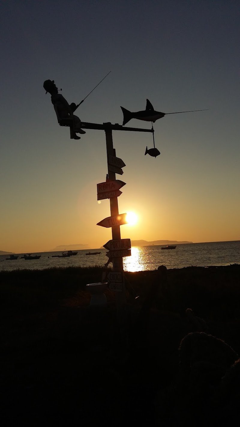 A.S.D. Amici A Quattro Zampe - Foto 3