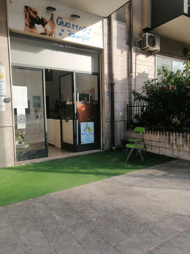 Ass.cul. A QUATTROZAMPE - Foto 1