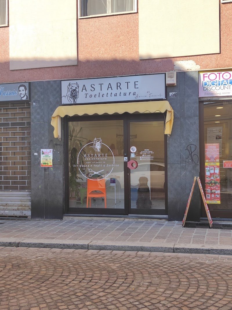 Astarte Toelettatura - Foto 1