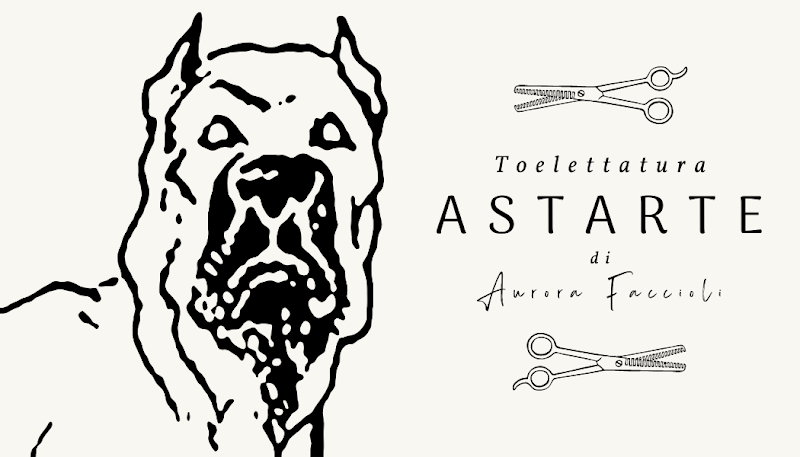 Astarte Toelettatura - Foto 2