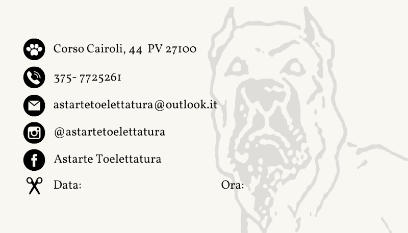 Astarte Toelettatura - Foto 3