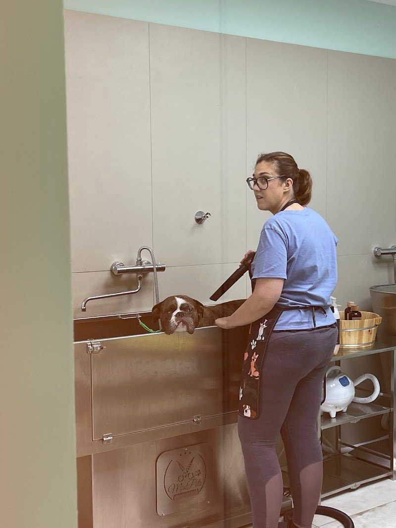 Audrey Toelettatura - Foto 3