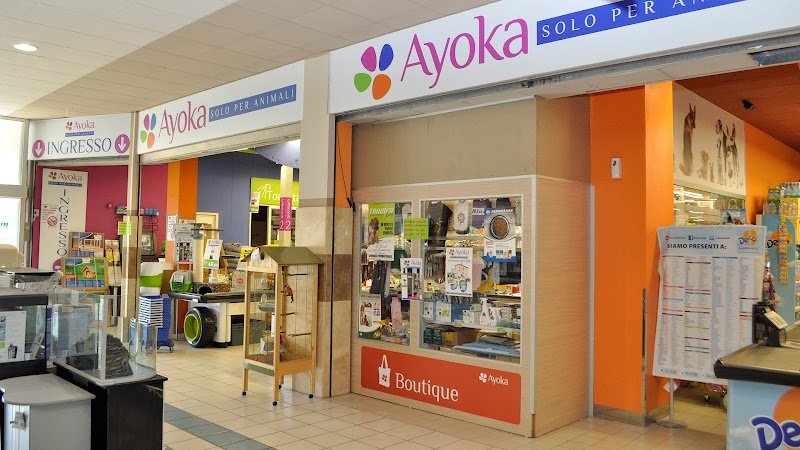 Ayoka - Foto 1