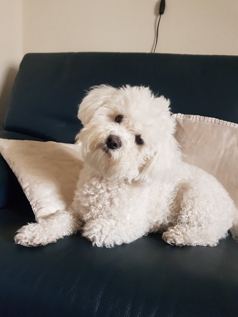 Badiali Pet Food - Foto 6