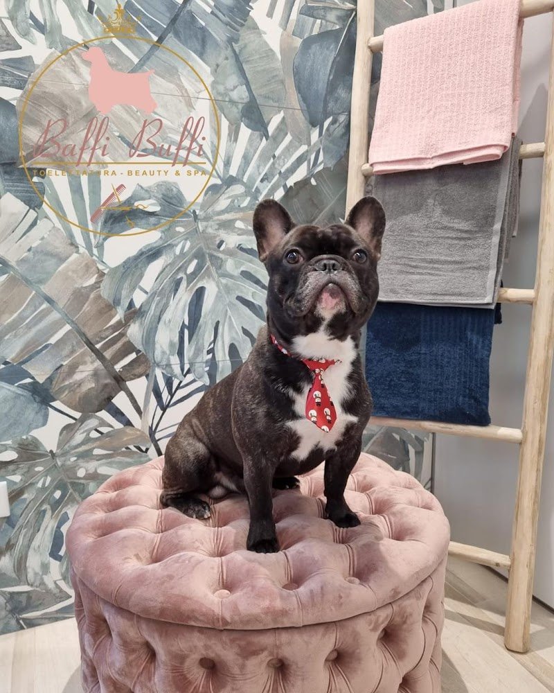 Baffi Buffi Toelettatura Beauty & SPA - Foto 2