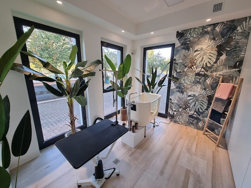 Baffi Buffi Toelettatura Beauty & SPA - Foto 3