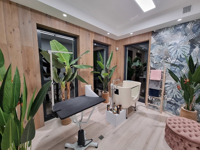 Baffi Buffi Toelettatura Beauty & SPA - Foto 4