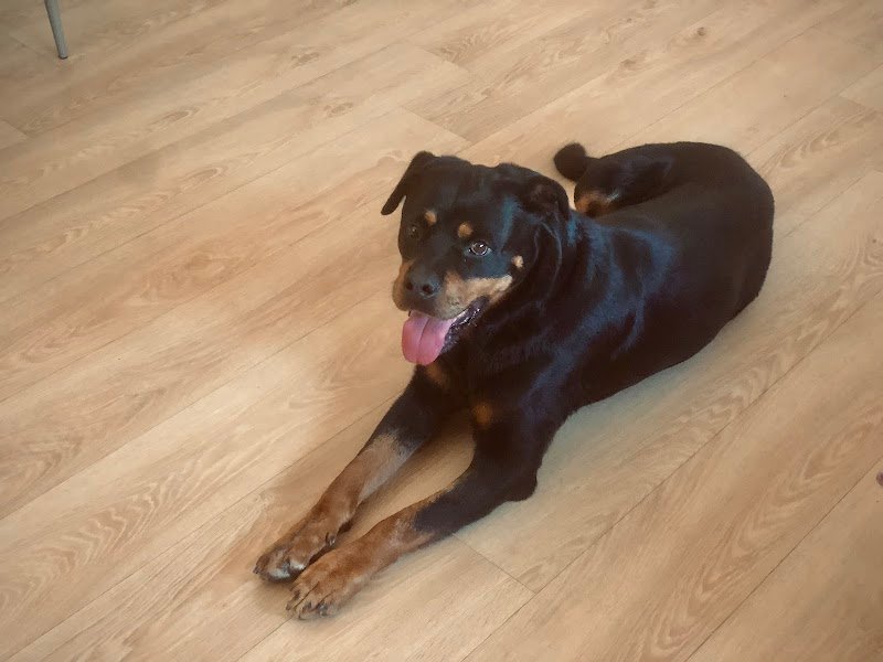 Bagno di Coccole - Foto 2