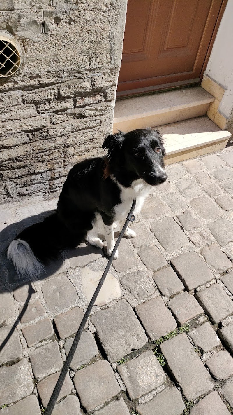 Bagno di Coccole - Foto 3