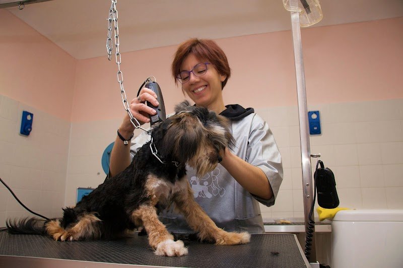 Balla Coi Lupi - Foto 1