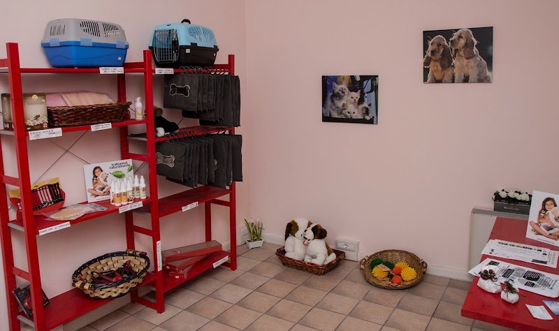 Balla Coi Lupi - Foto 5