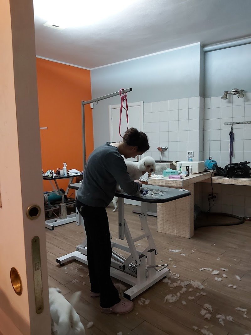 Baloo Boutique e Spa - Foto 1