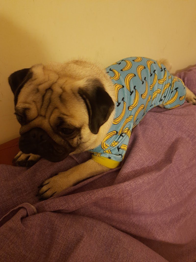 Baloo Boutique e Spa - Foto 3