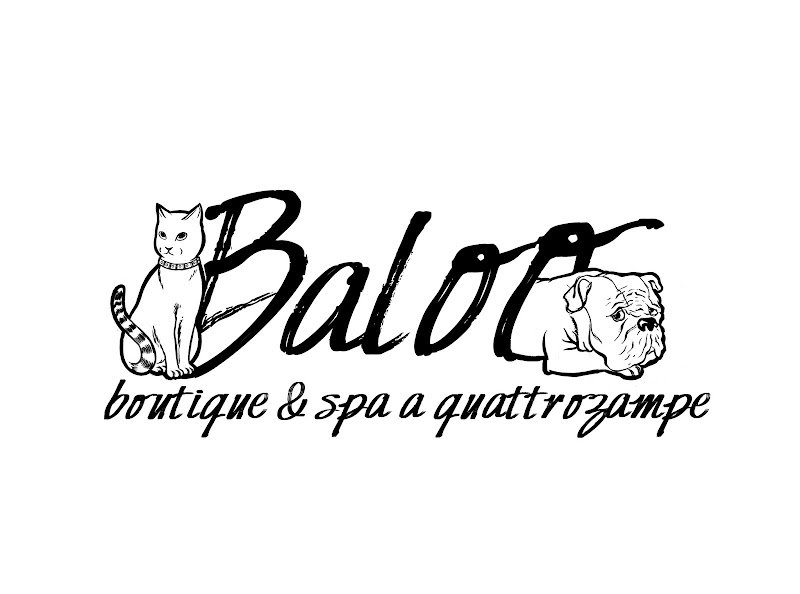 Baloo Boutique e Spa - Foto 4