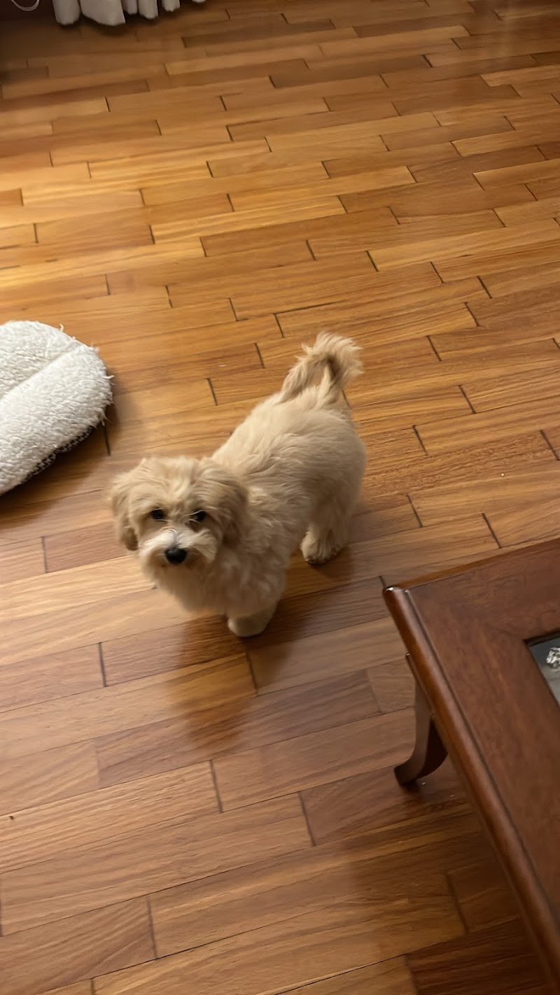 Banda Bassotti - Foto 6