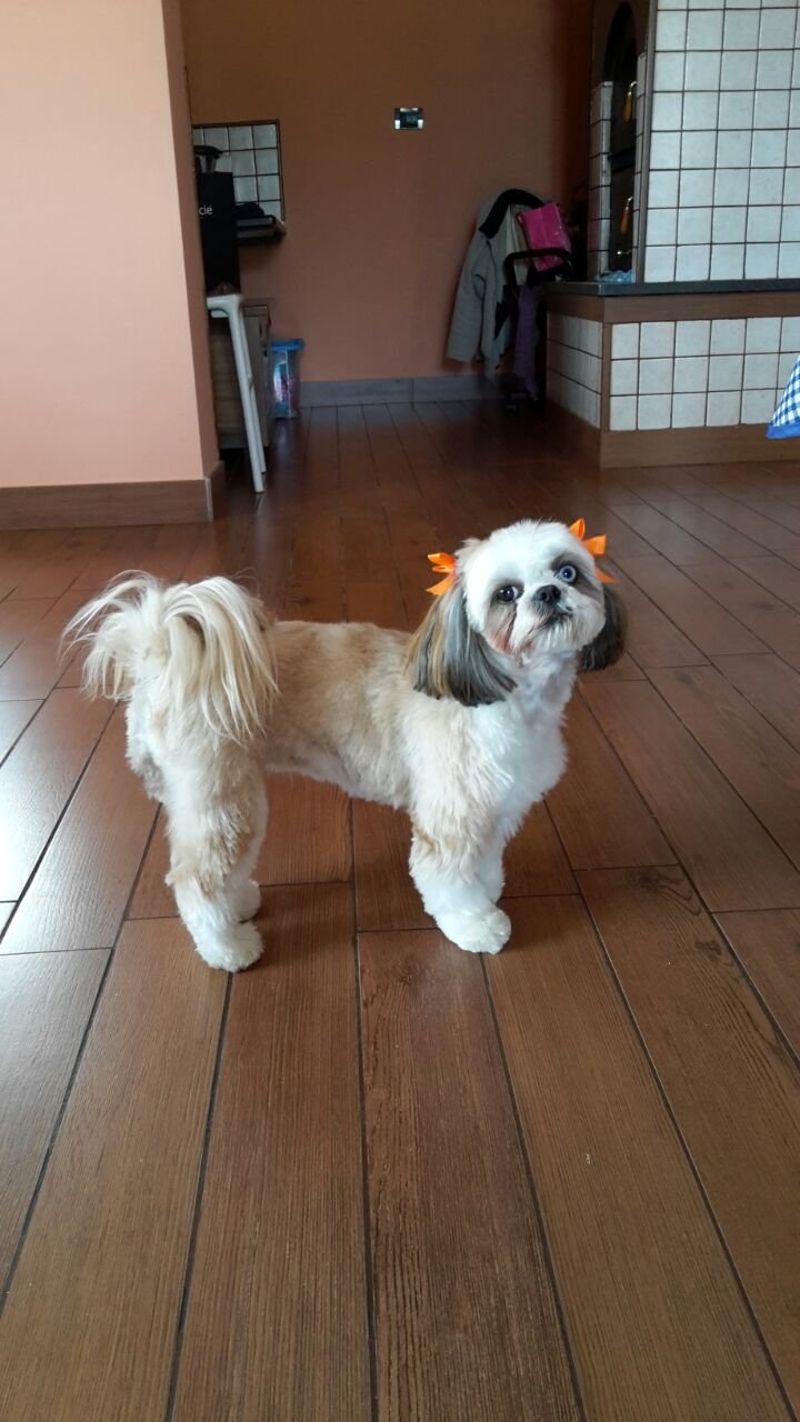 Bao & Mao Di Zaccardi L. Ursini L. E Spinelli M. - Foto 3