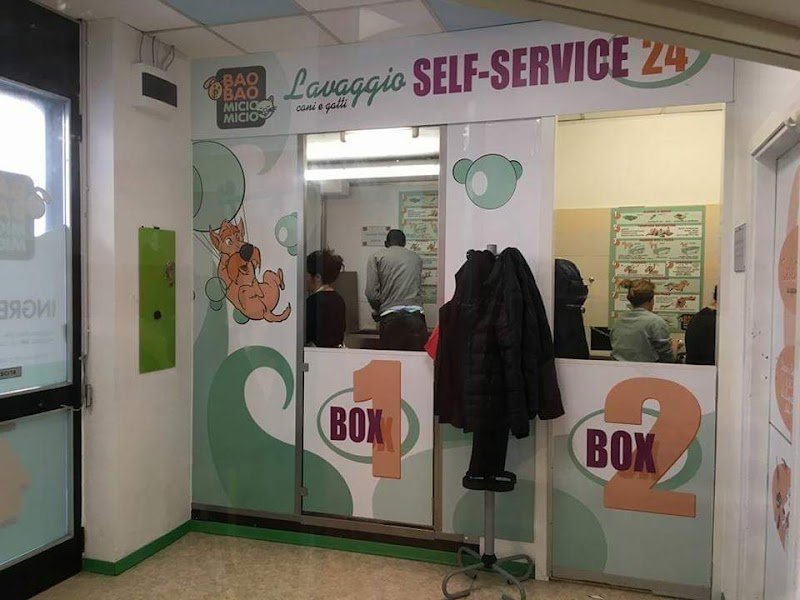 Baobao Miciomicio - Lavaggio Self Service per Cani - Foto 4