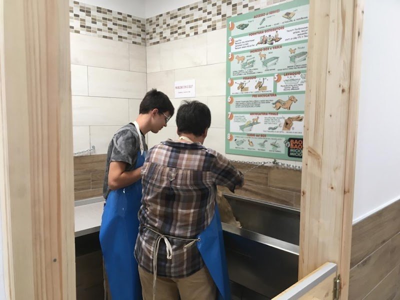 Baobao Miciomicio - Lavaggio Self Service per Cani - Foto 6