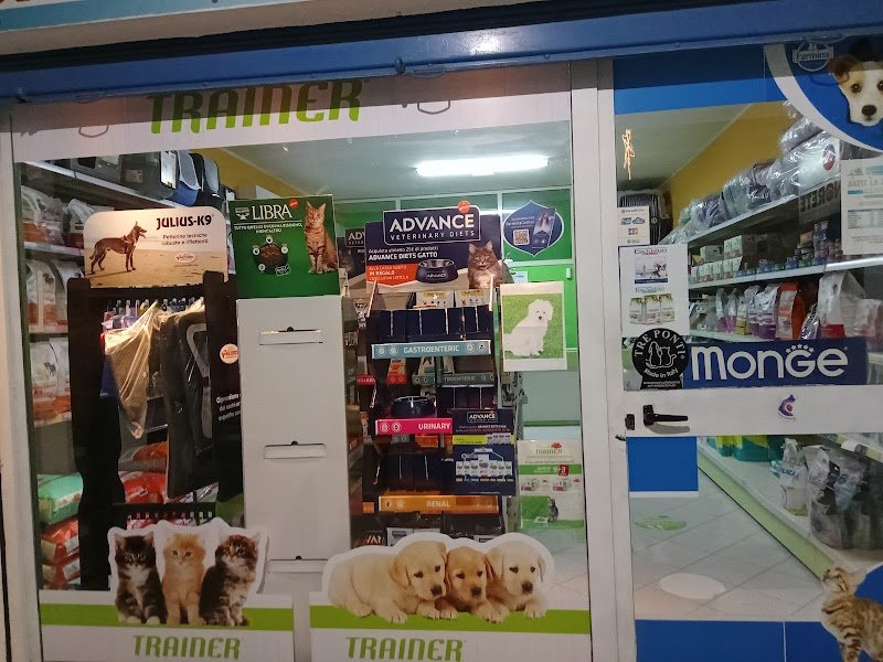 Batti La Zampa - Foto 2