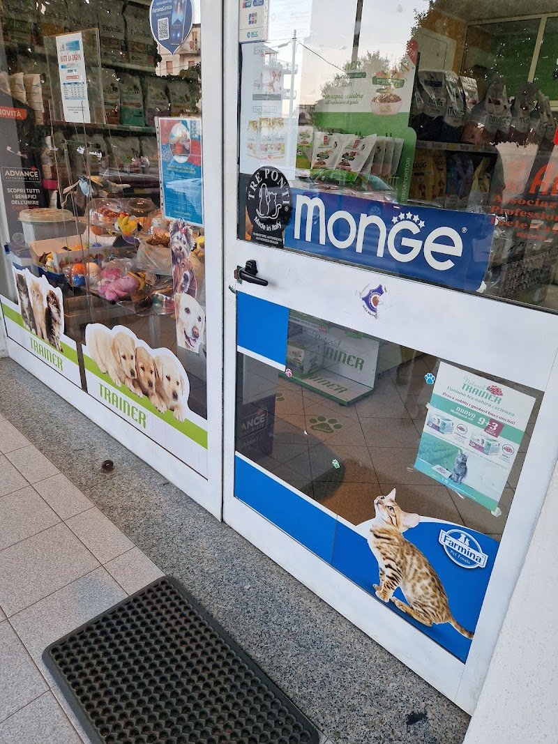 Batti La Zampa - Foto 3