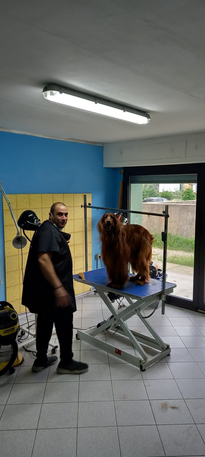 Batti La Zampa - Foto 5