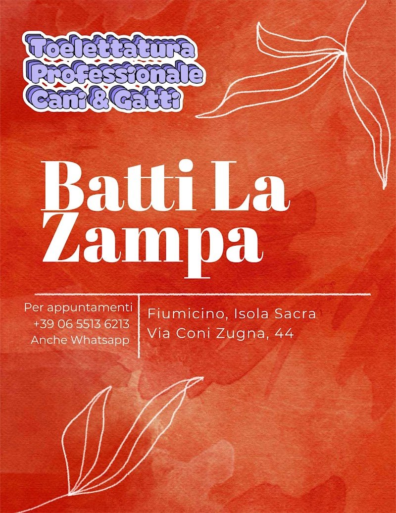 Batti La Zampa - Foto 1