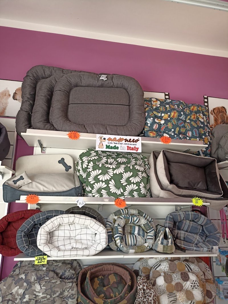 Batti La Zampa - Foto 3