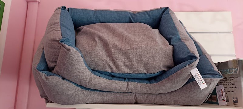 Batti La Zampa - Foto 6