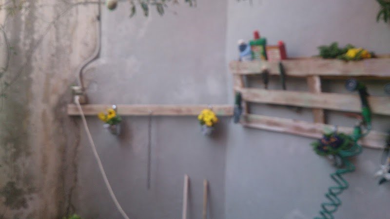 Battito Animale Pet Shop Perugia - Foto 5