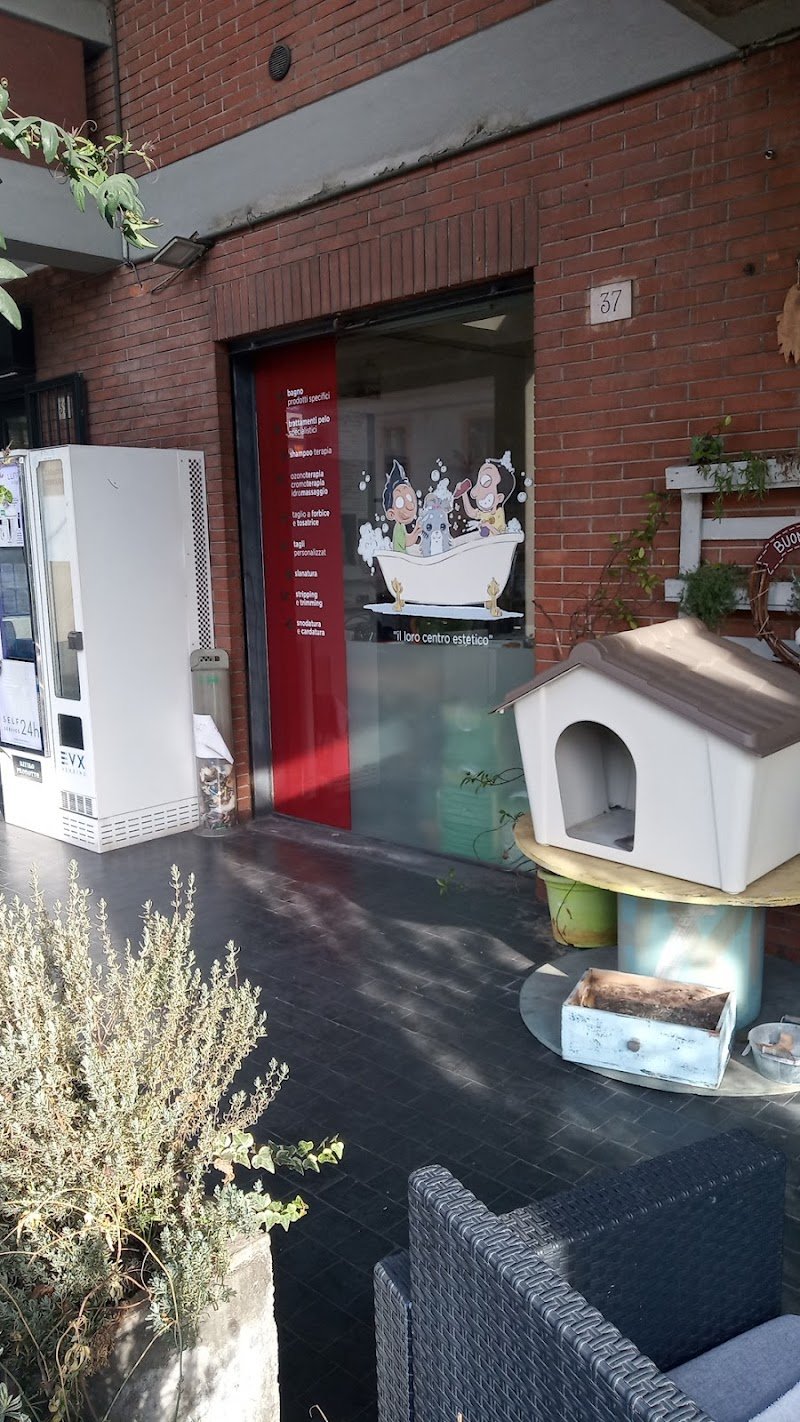 Battito Animale Pet Shop Perugia - Foto 6