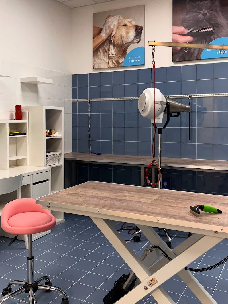 BATU - Dog Beauty Studio - Foto 2