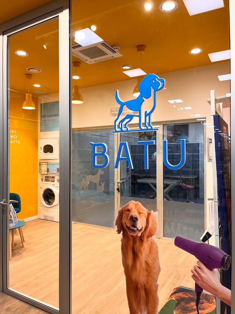 BATU - Dog Beauty Studio - Foto 3