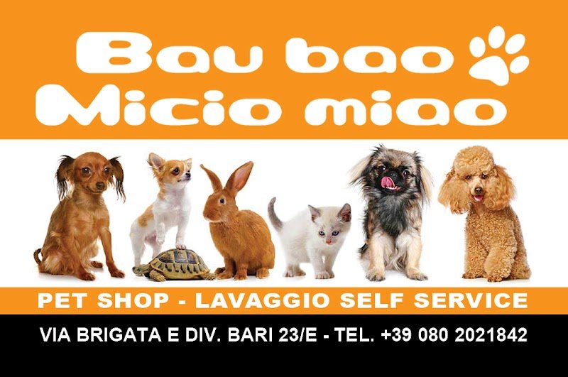 Bau Bao Micio Miao - Foto 1