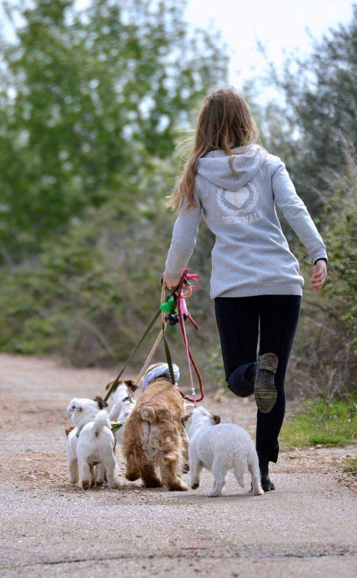 Bau Bau Beauty - Foto 5