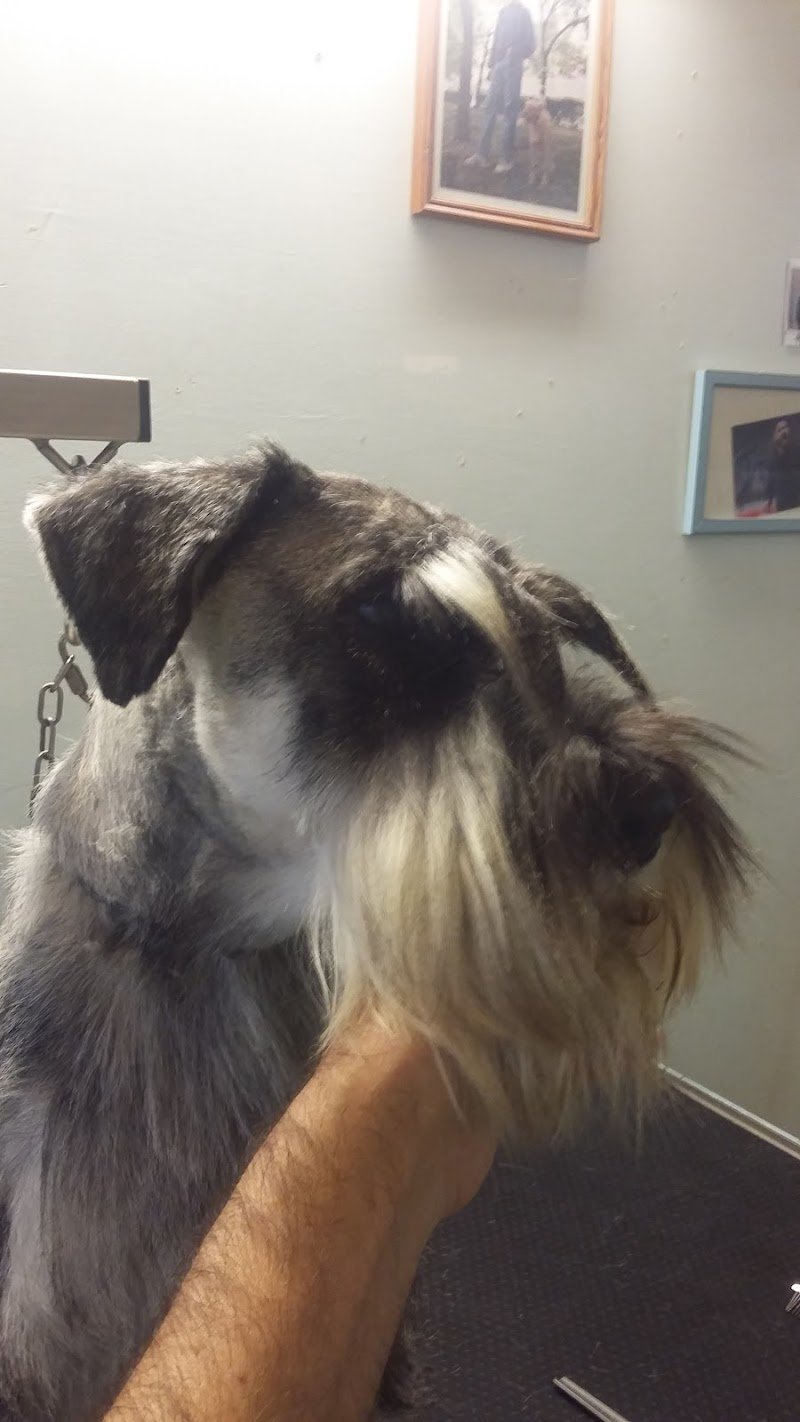 Bau Bau Center di Maurizio Cervino - Foto 1