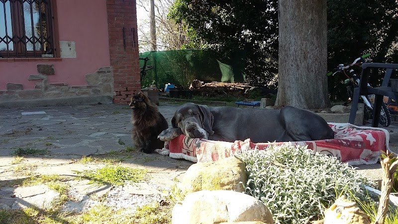 Bau Bau Center di Maurizio Cervino - Foto 6